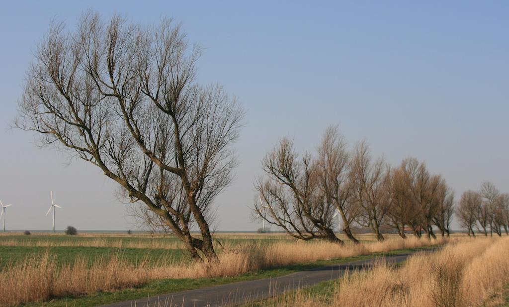 Landhaus Krabbe Von Greetsiel Luaran gambar